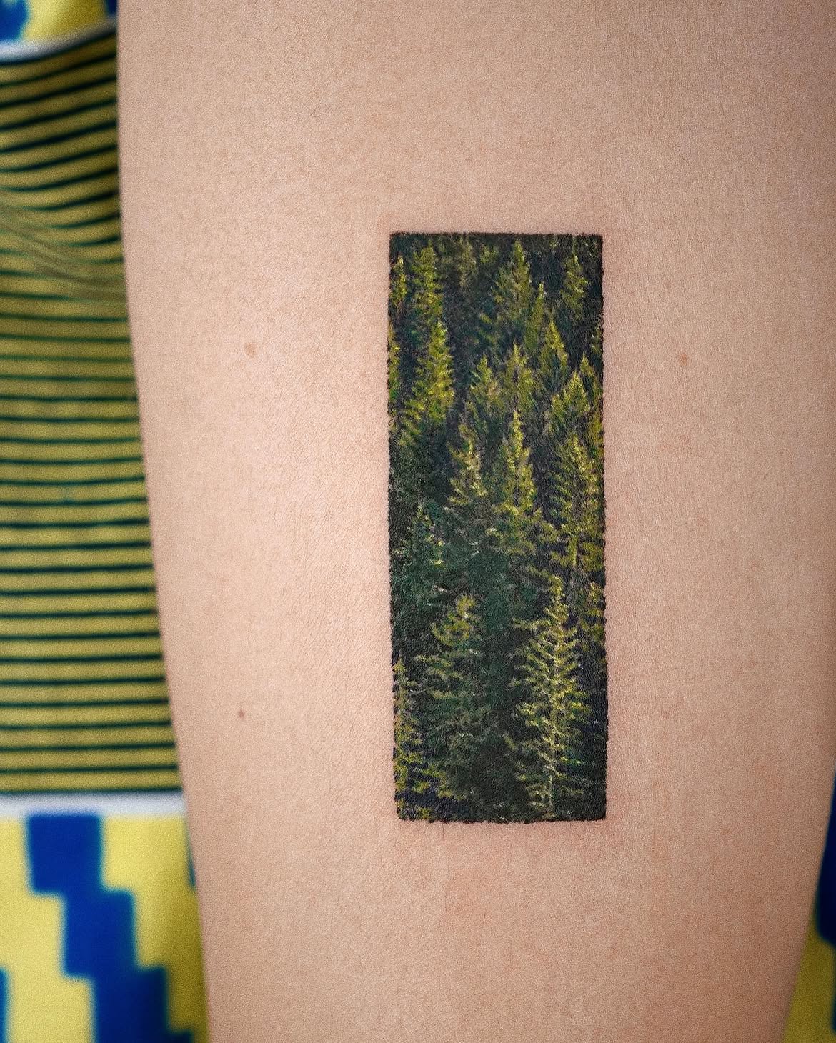 28 Forest Tattoo Ideas: From Misty Pine Landscapes to Magical Woodland Designs