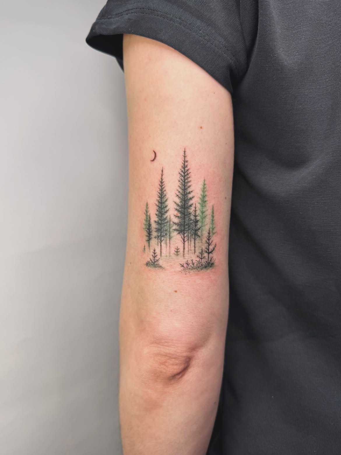 28 Forest Tattoo Ideas: From Misty Pine Landscapes to Magical Woodland Designs