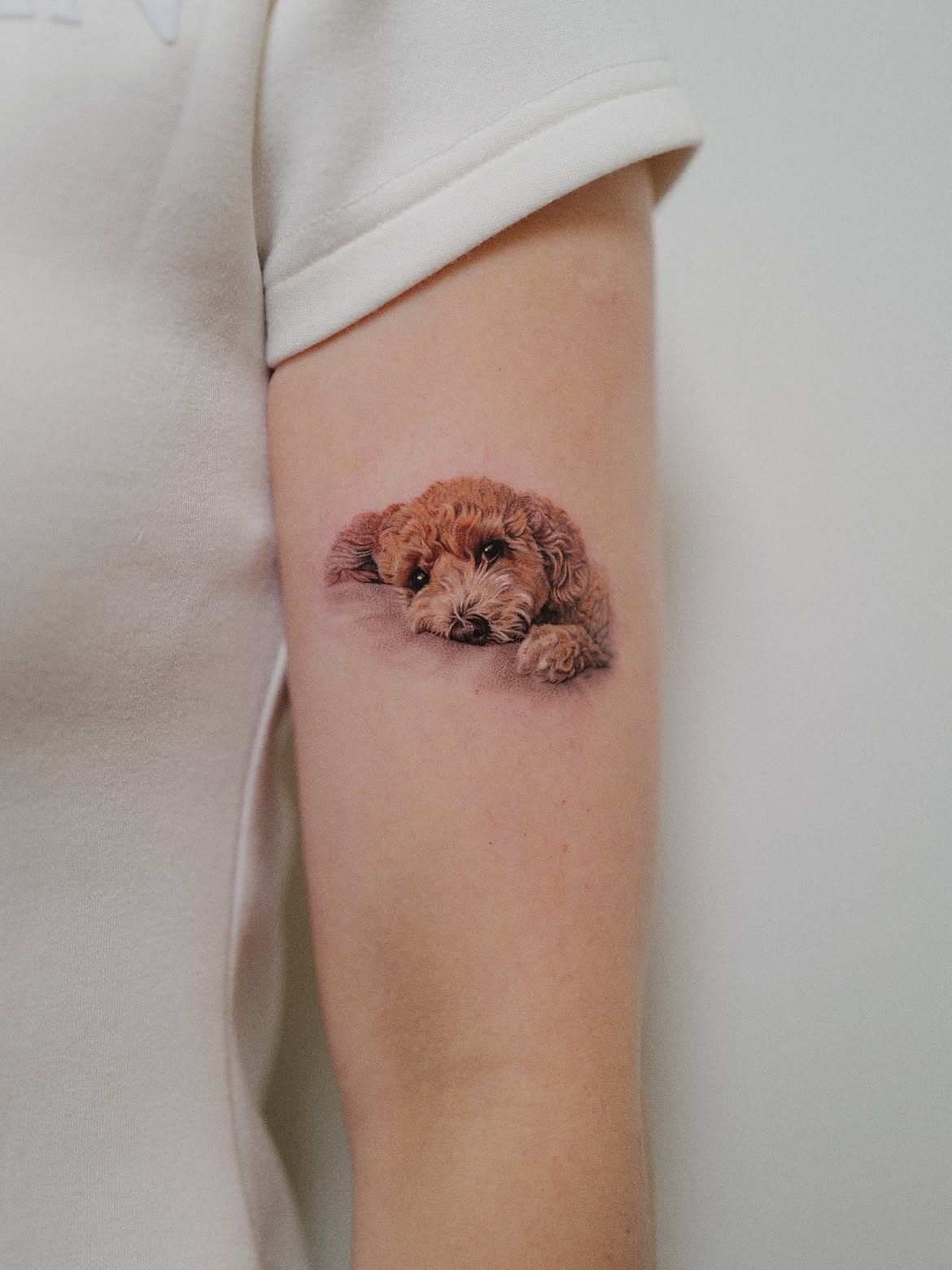27 Dog Tattoo Ideas: Meaningful Designs That Keep a Favorite Companion Close
