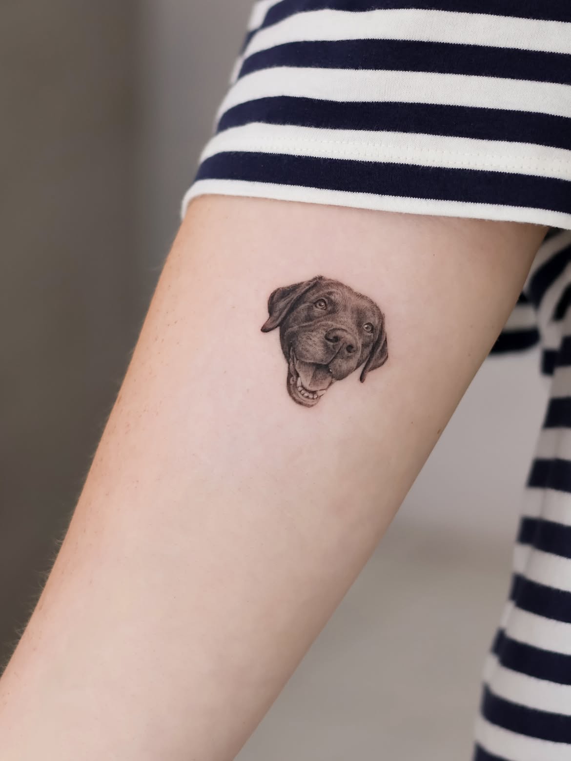 27 Dog Tattoo Ideas: Meaningful Designs That Keep a Favorite Companion Close