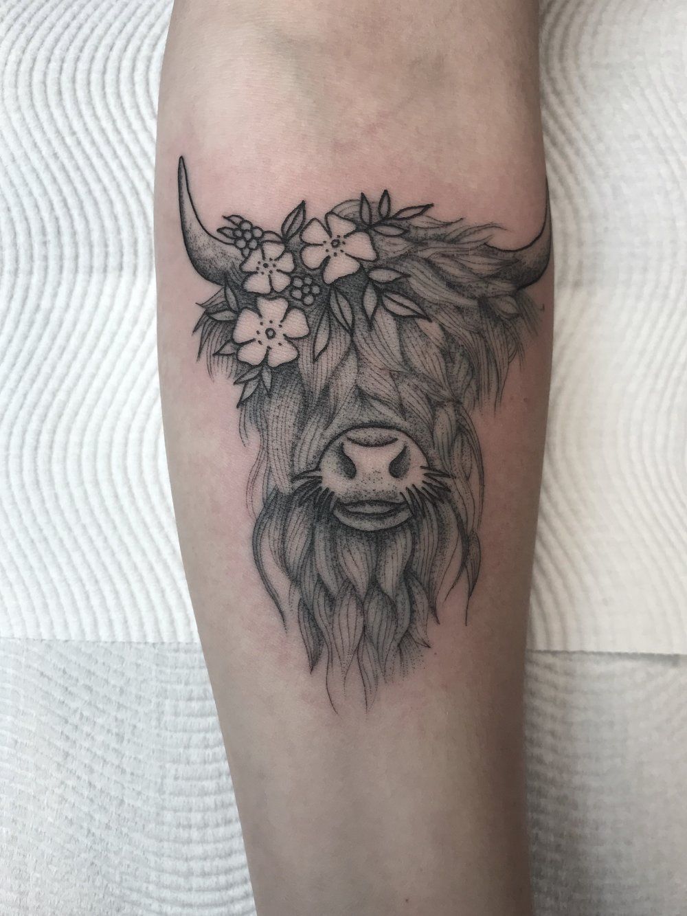 27 Highland Cow Tattoo Ideas: Charming Designs From Minimalist to Colorful