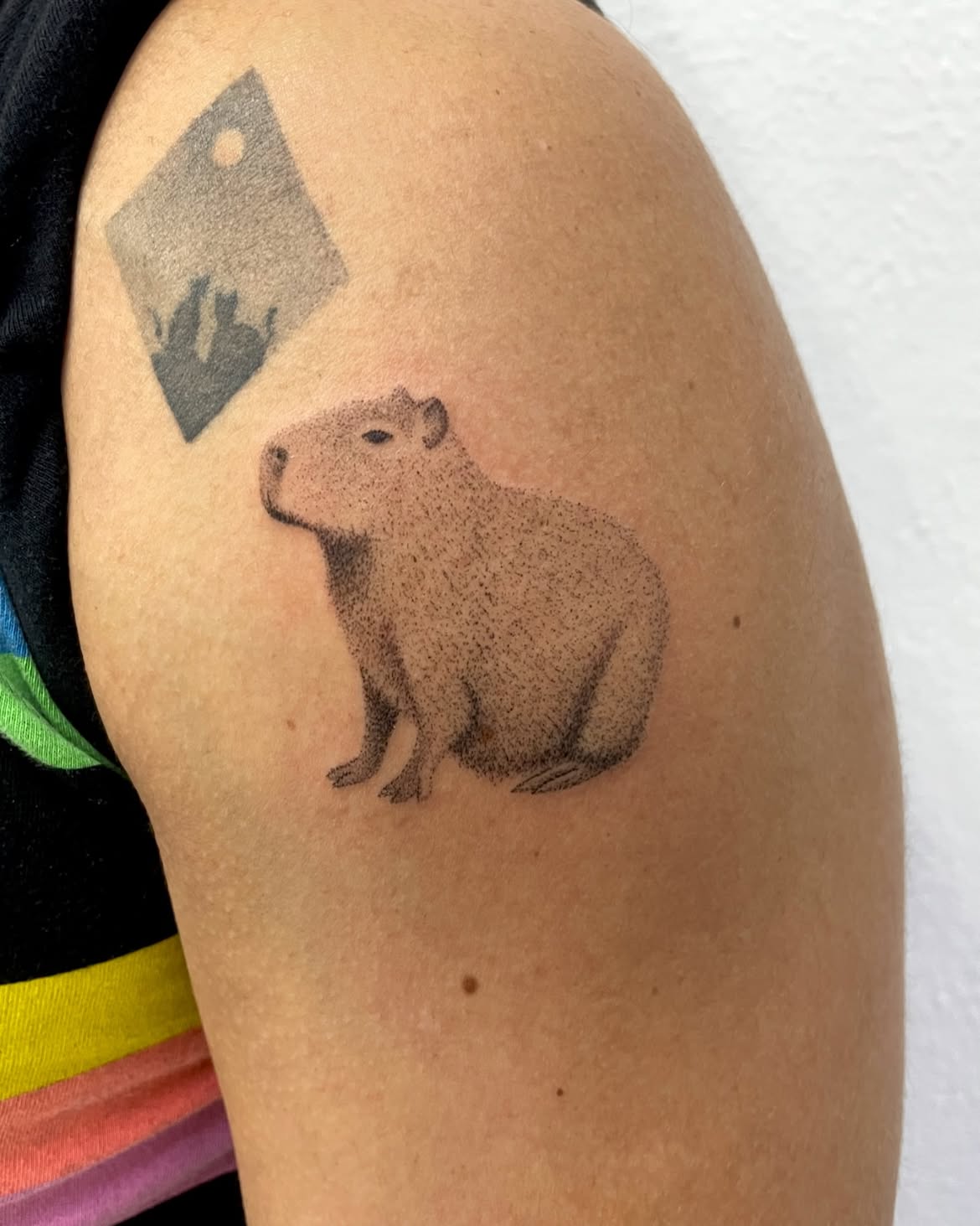 28 Cute Capybara Tattoo Ideas: Minimalist, Realistic, and Funny Designs