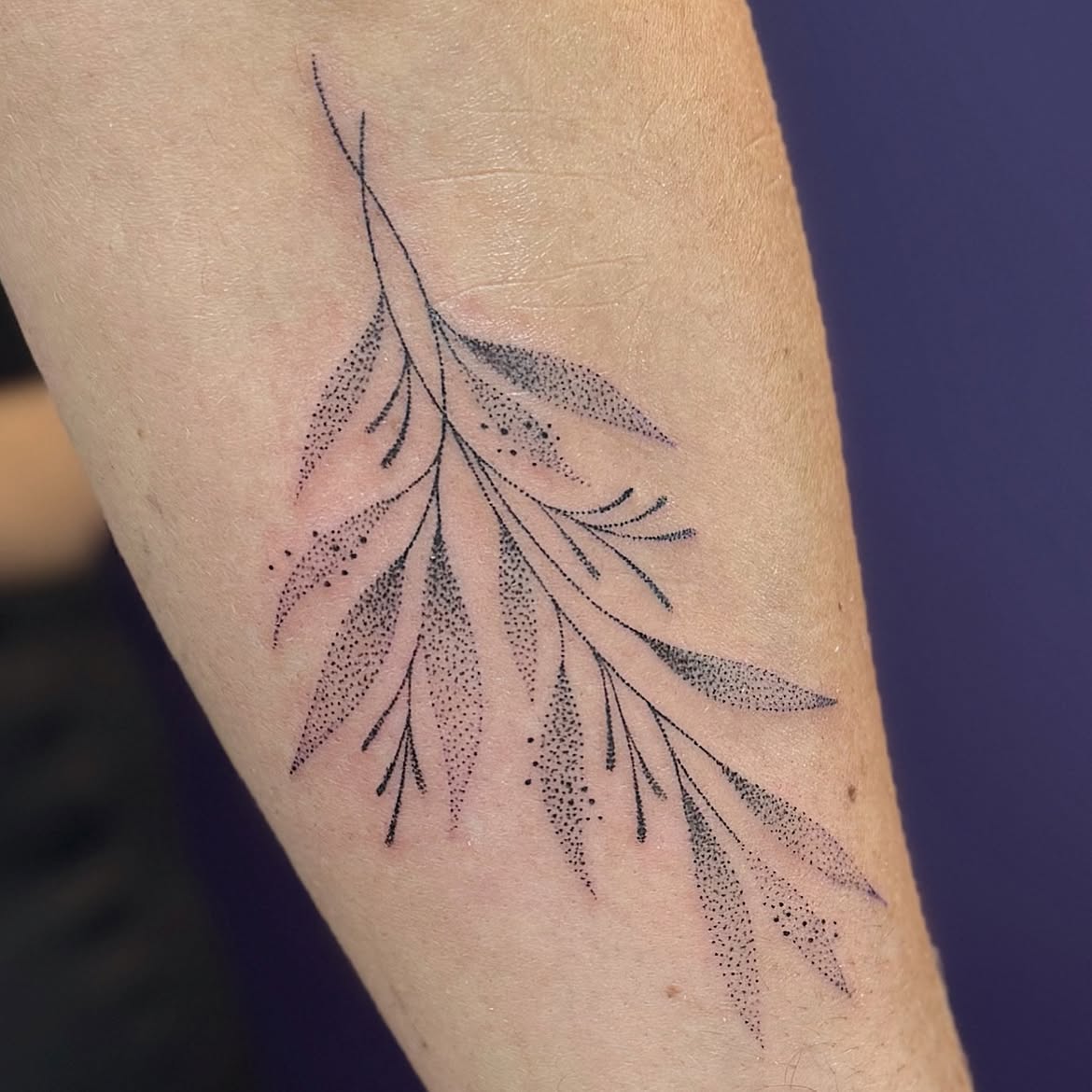 27 Dotwork Tattoo Ideas: From Delicate Stippling to Bold Geometric Mandalas