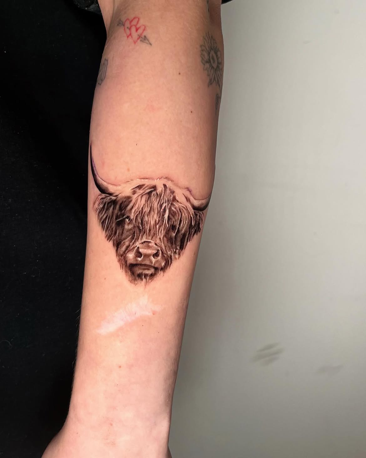 27 Highland Cow Tattoo Ideas: Charming Designs From Minimalist to Colorful