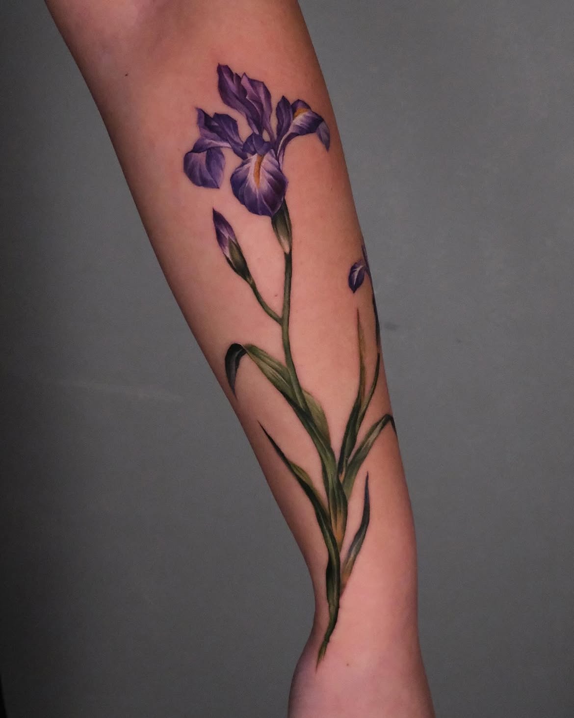 32 Iris Tattoo Ideas: Beautiful Floral Designs From Delicate Fine Line to Bold Color