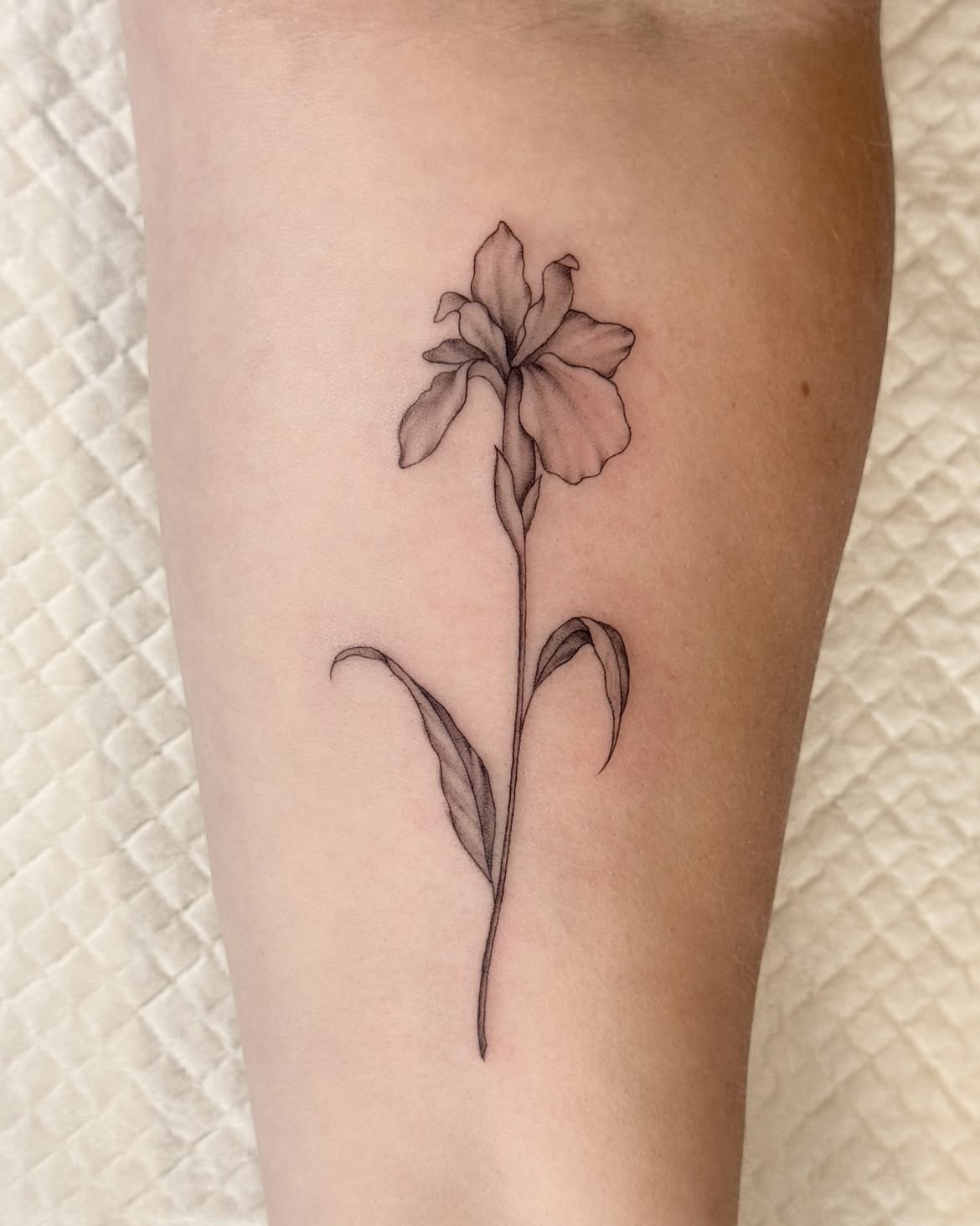 32 Iris Tattoo Ideas: Beautiful Floral Designs From Delicate Fine Line to Bold Color