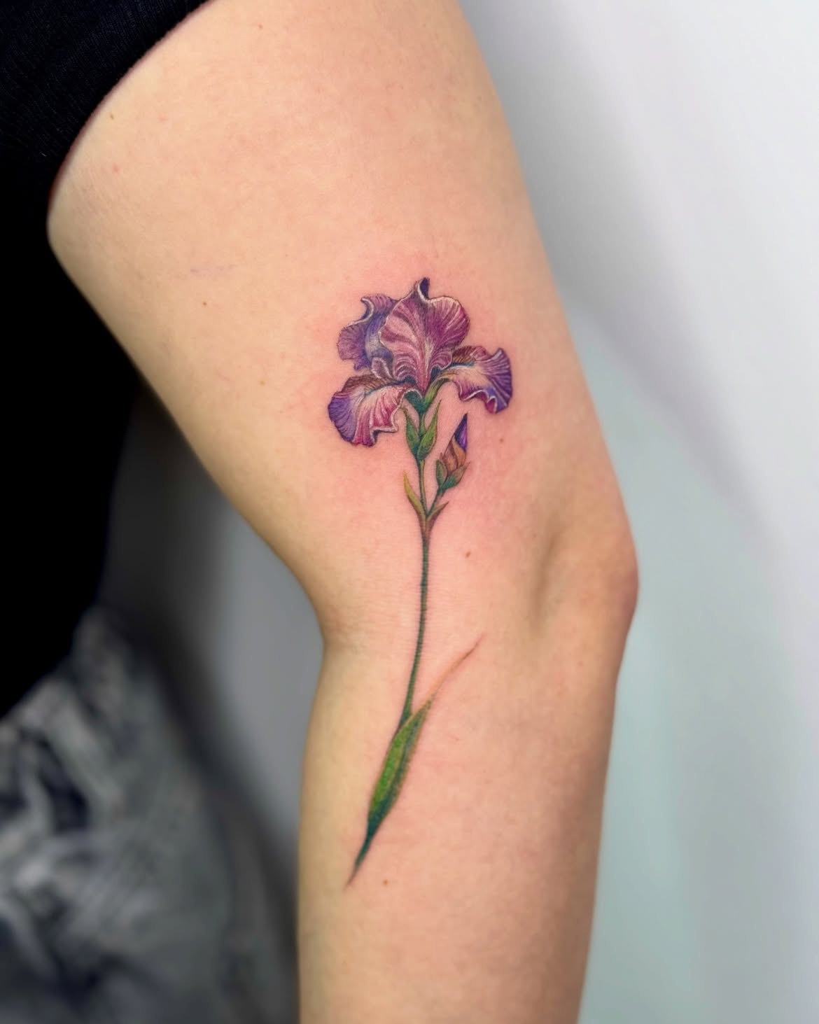 32 Iris Tattoo Ideas: Beautiful Floral Designs From Delicate Fine Line to Bold Color