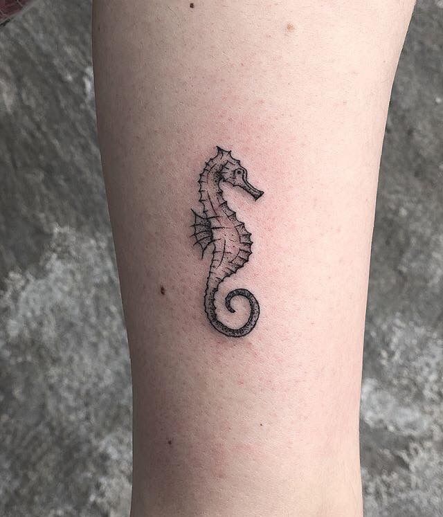 31 Seahorse Tattoo Ideas: Beautiful Designs That Capture the Magic of the Ocean