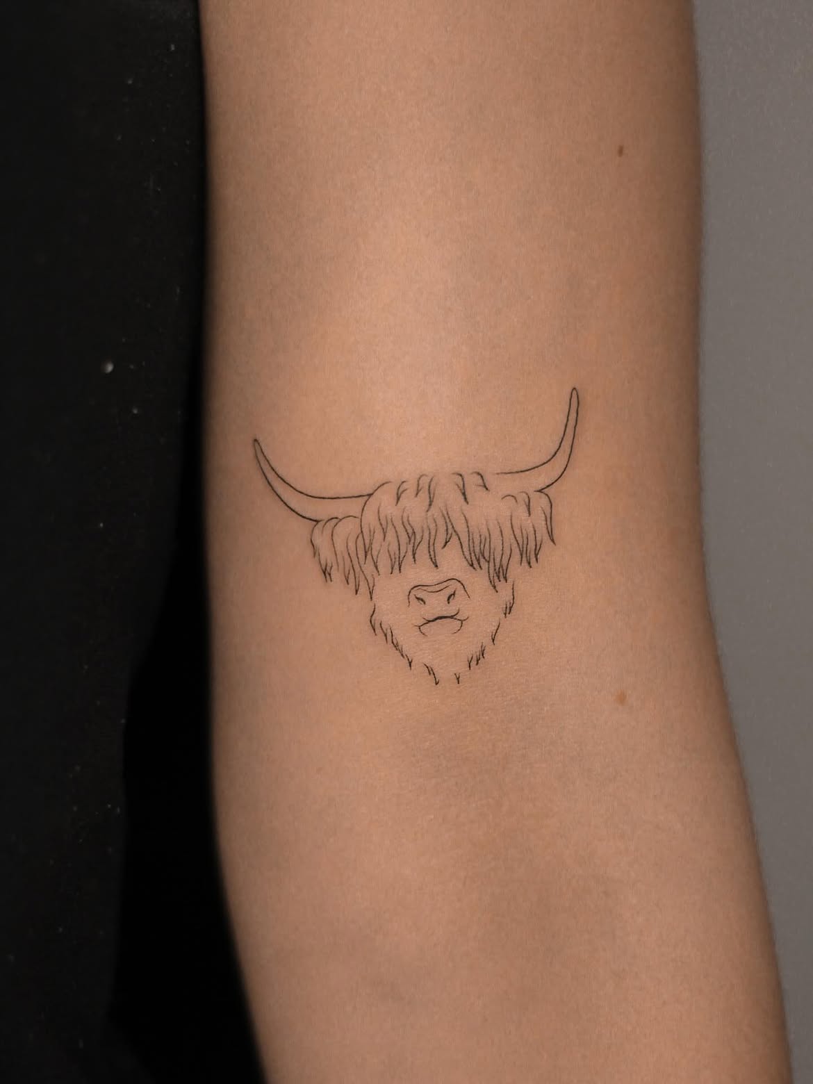 27 Highland Cow Tattoo Ideas: Charming Designs From Minimalist to Colorful