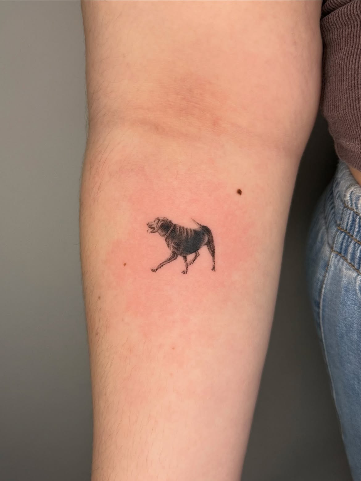 29 Micro Realism Tattoo Ideas: Tiny Details With a Big Visual Impact