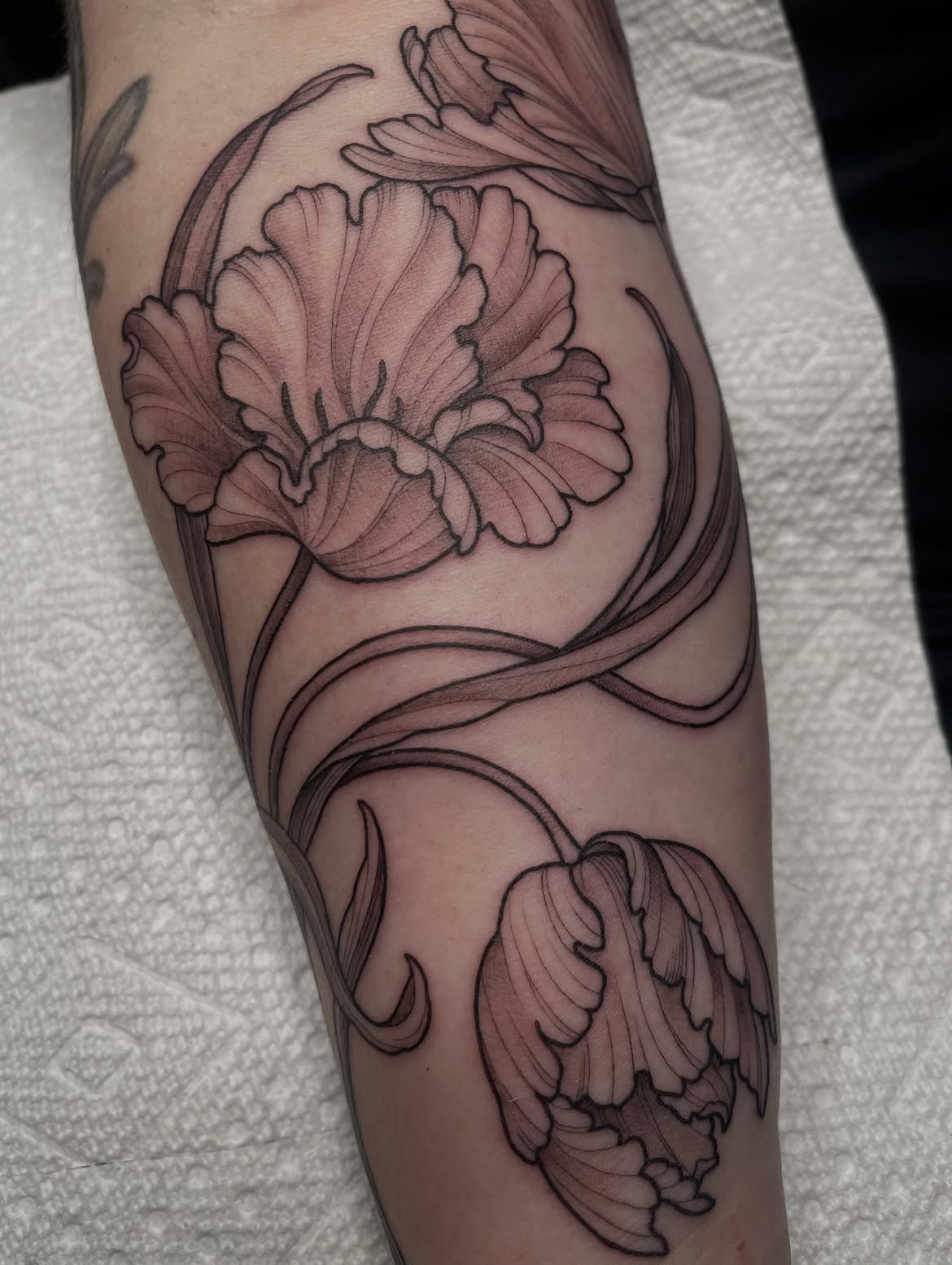29 Art Nouveau Tattoo Ideas: Floral Lines, Decorative Frames, and Timeless Ornament