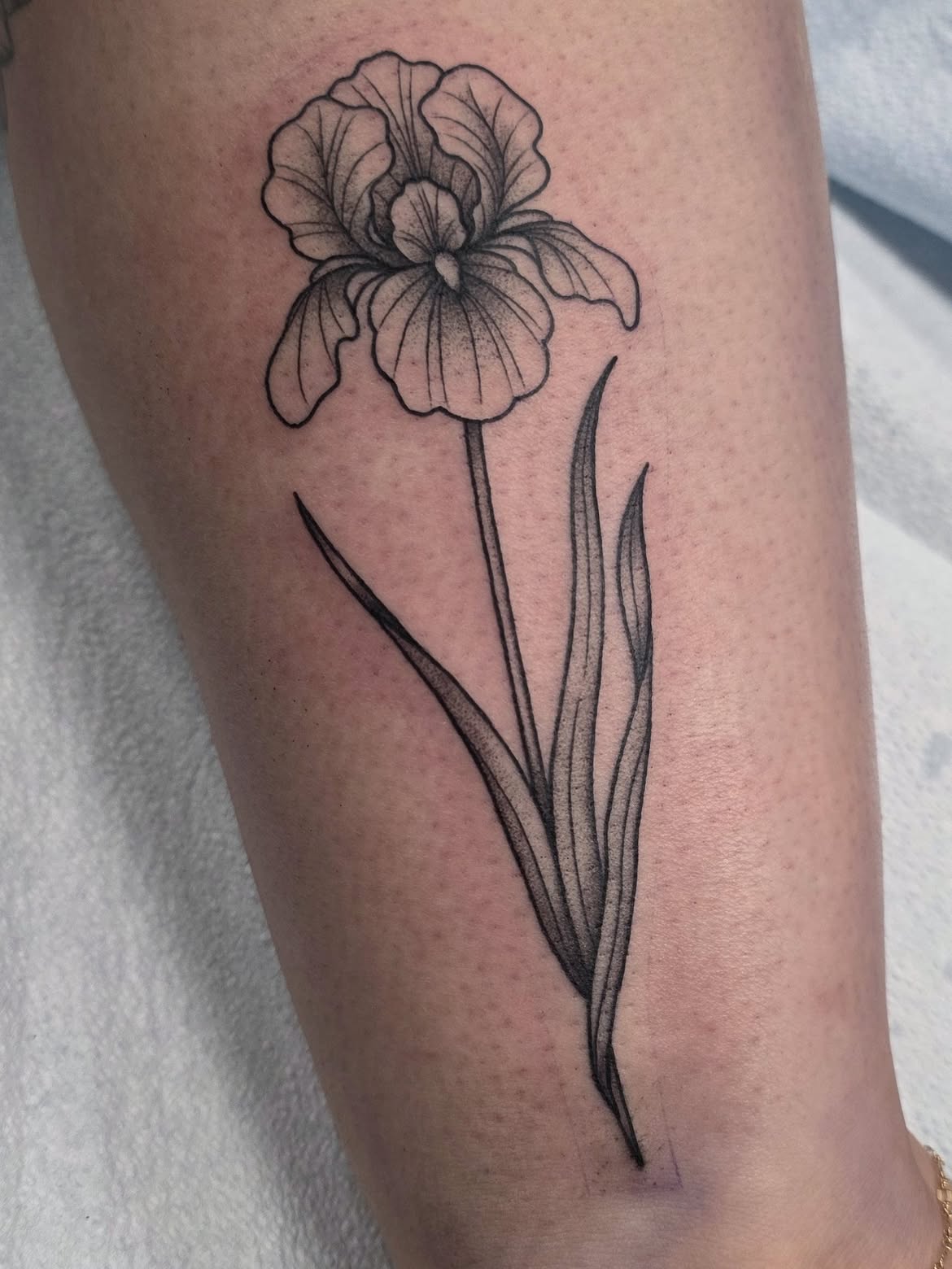 32 Iris Tattoo Ideas: Beautiful Floral Designs From Delicate Fine Line to Bold Color