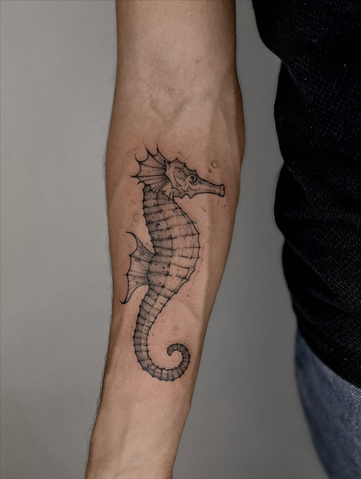 31 Seahorse Tattoo Ideas: Beautiful Designs That Capture the Magic of the Ocean