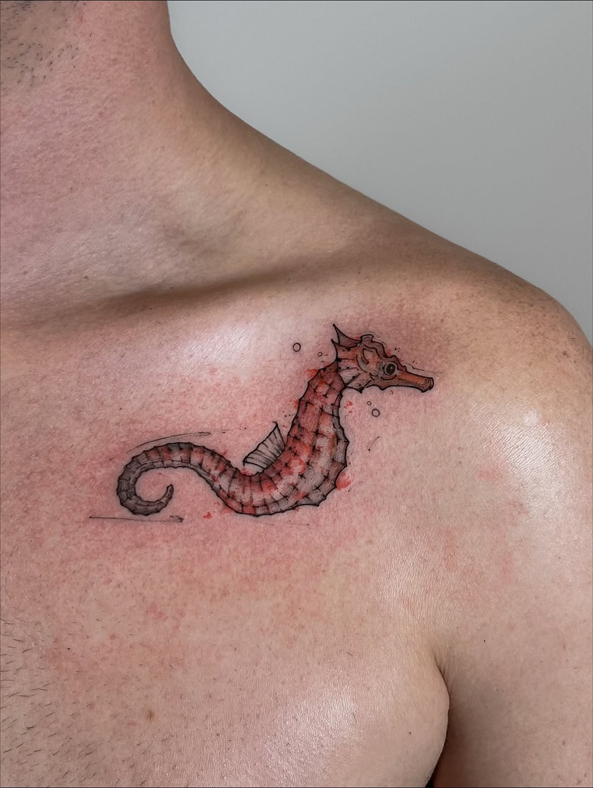 31 Seahorse Tattoo Ideas: Beautiful Designs That Capture the Magic of the Ocean