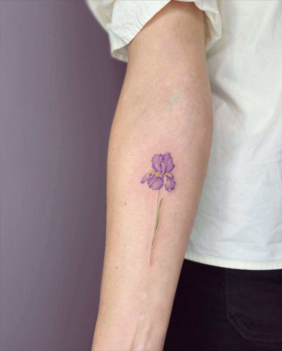 32 Iris Tattoo Ideas: Beautiful Floral Designs From Delicate Fine Line to Bold Color