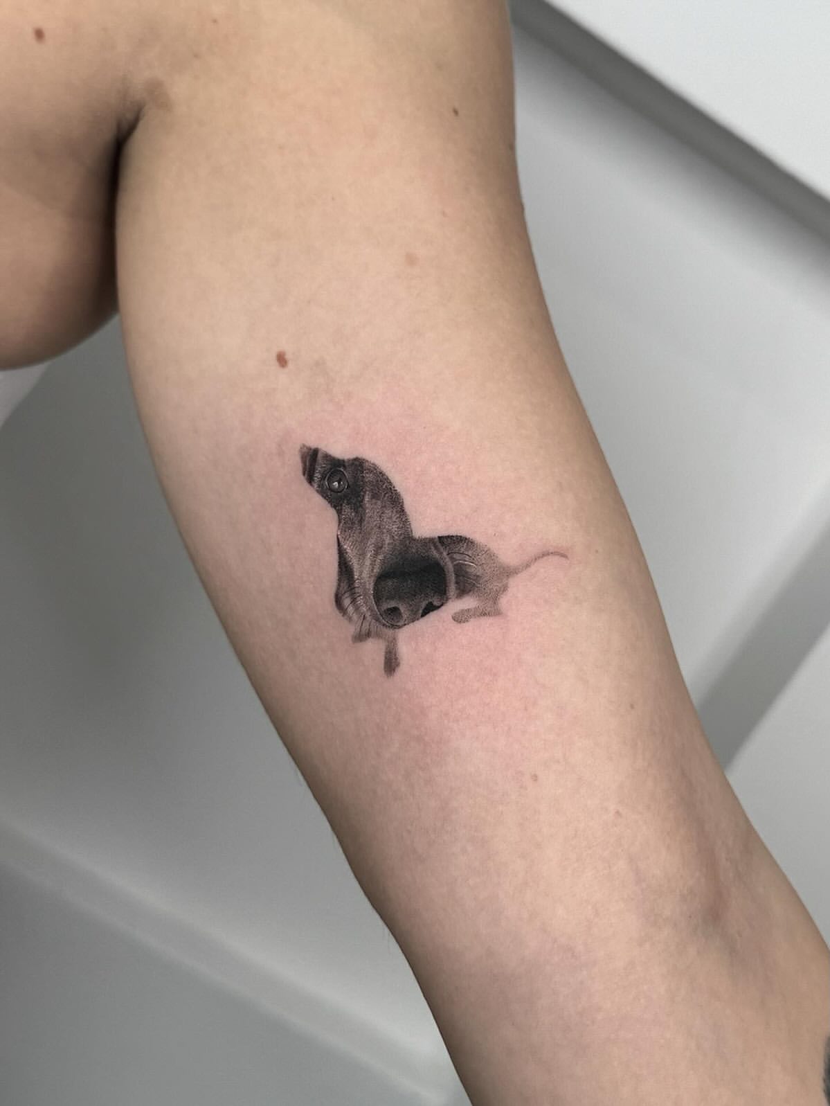 29 Micro Realism Tattoo Ideas: Tiny Details With a Big Visual Impact
