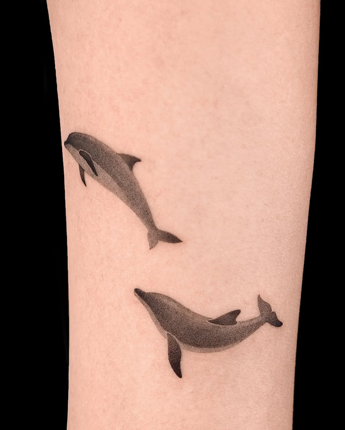 27 Dolphin Tattoo Ideas: Beautiful Designs That Capture Freedom, Joy, and Ocean Magic