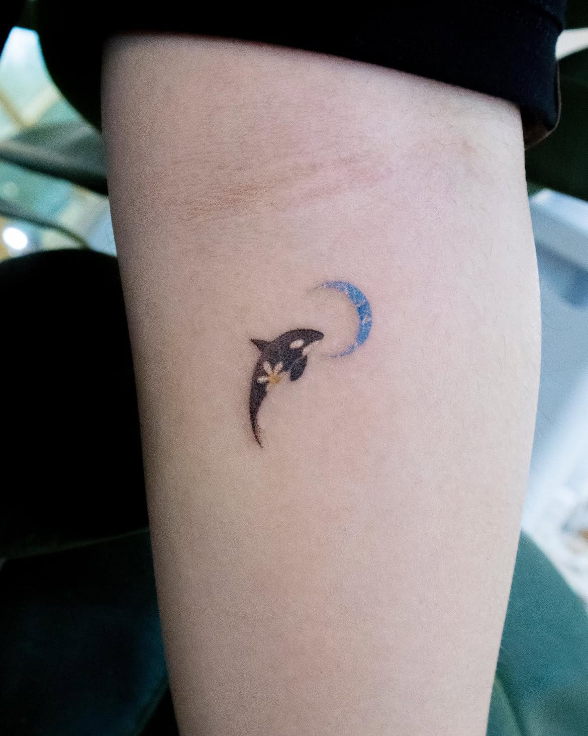 27 Dolphin Tattoo Ideas: Beautiful Designs That Capture Freedom, Joy, and Ocean Magic