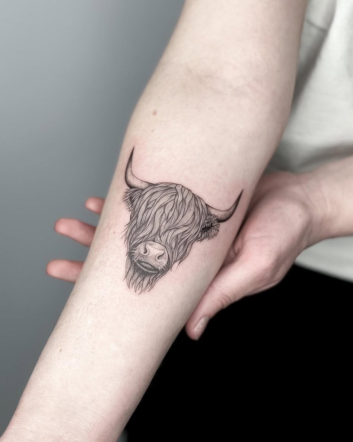 27 Highland Cow Tattoo Ideas: Charming Designs From Minimalist to Colorful