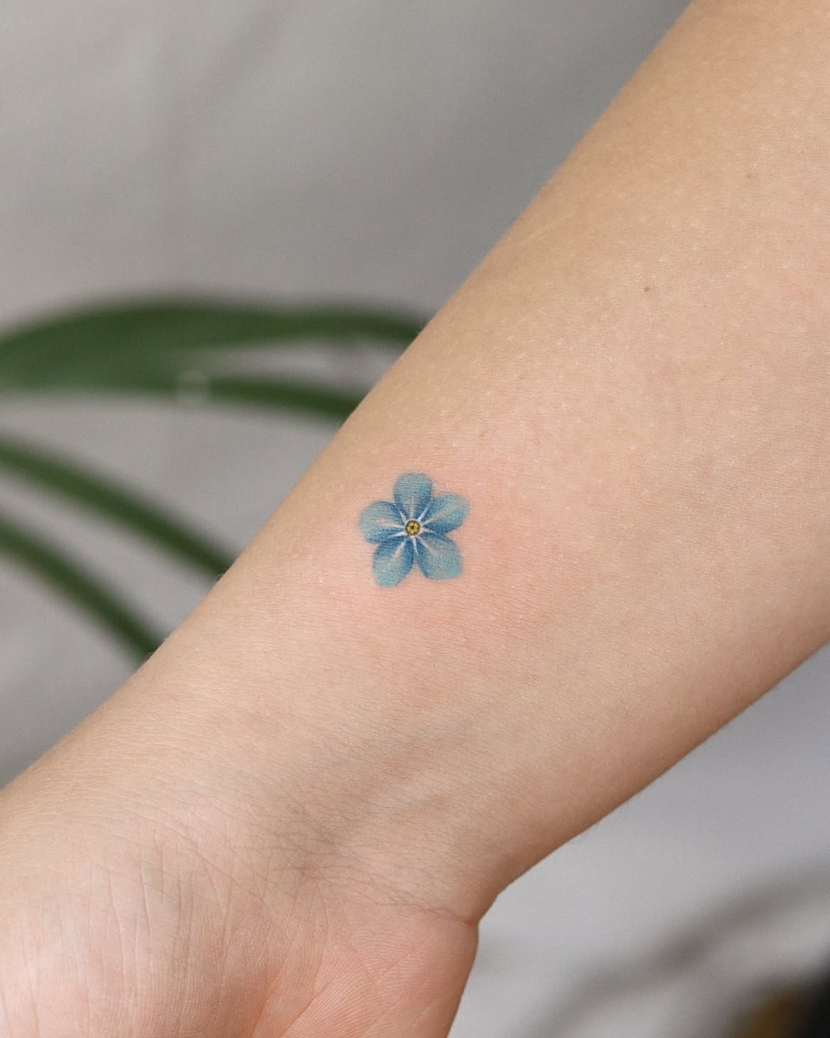 28 Forget Me Not Tattoo Ideas: Delicate Floral Designs with Timeless Meaning