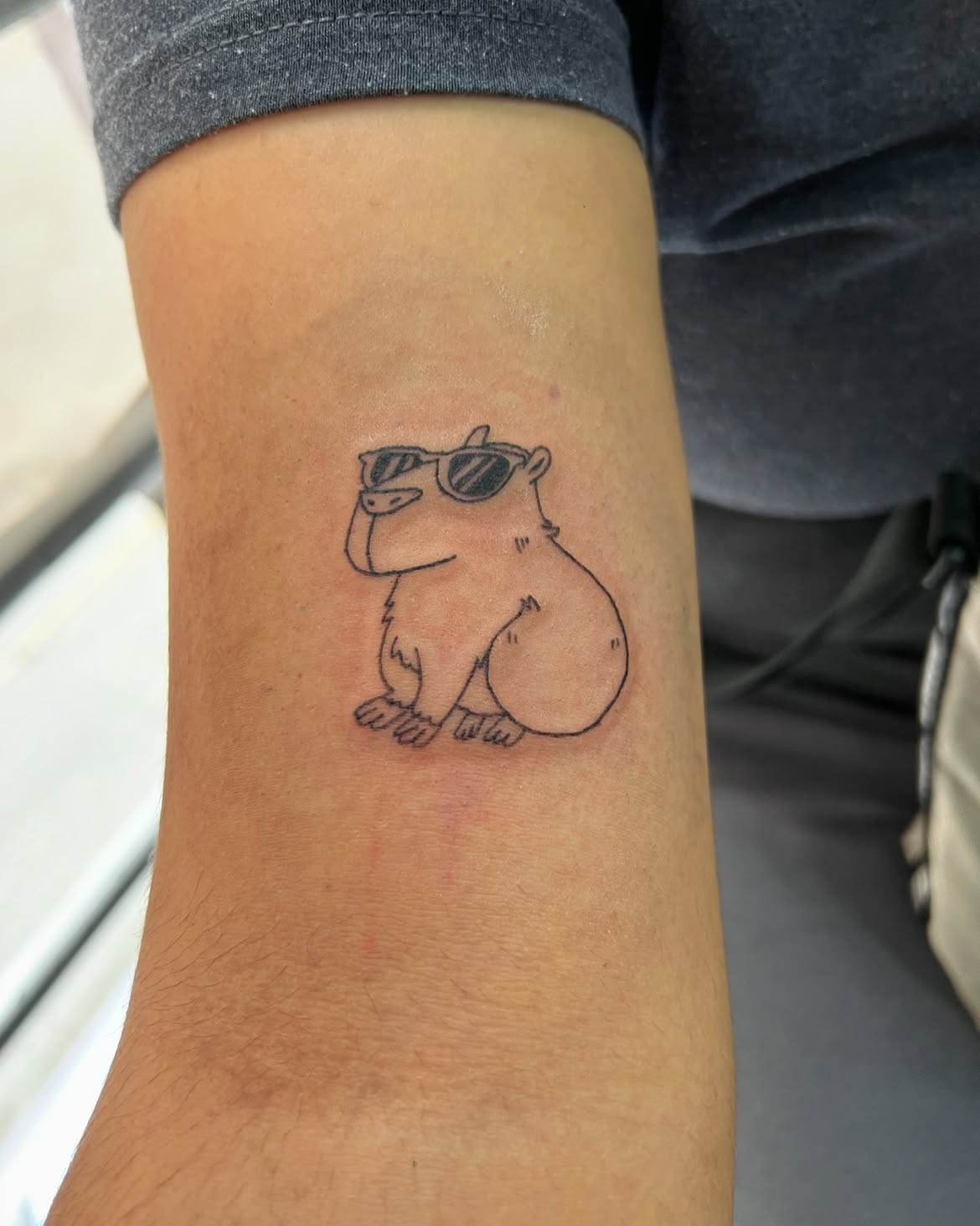 28 Cute Capybara Tattoo Ideas: Minimalist, Realistic, and Funny Designs