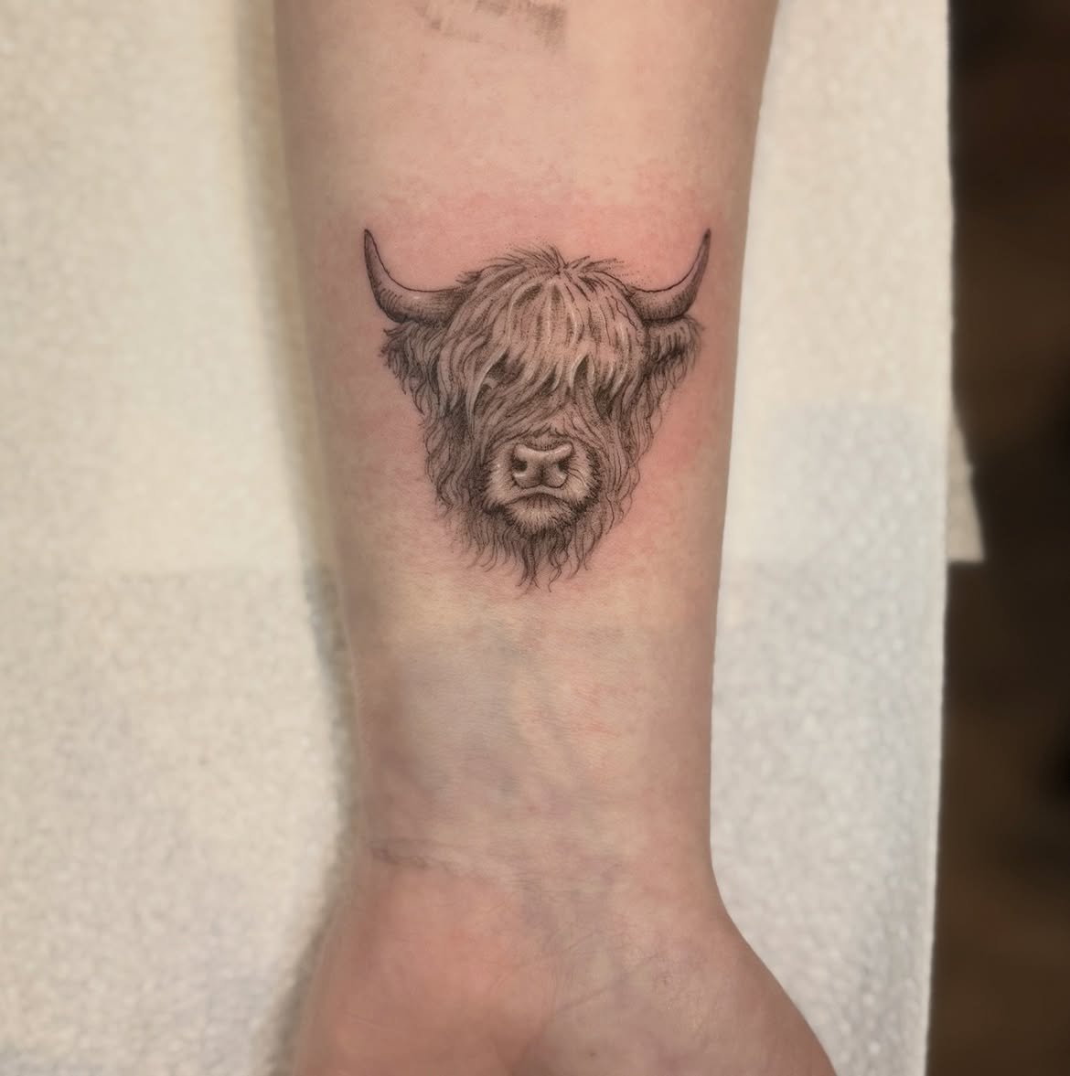 27 Highland Cow Tattoo Ideas: Charming Designs From Minimalist to Colorful