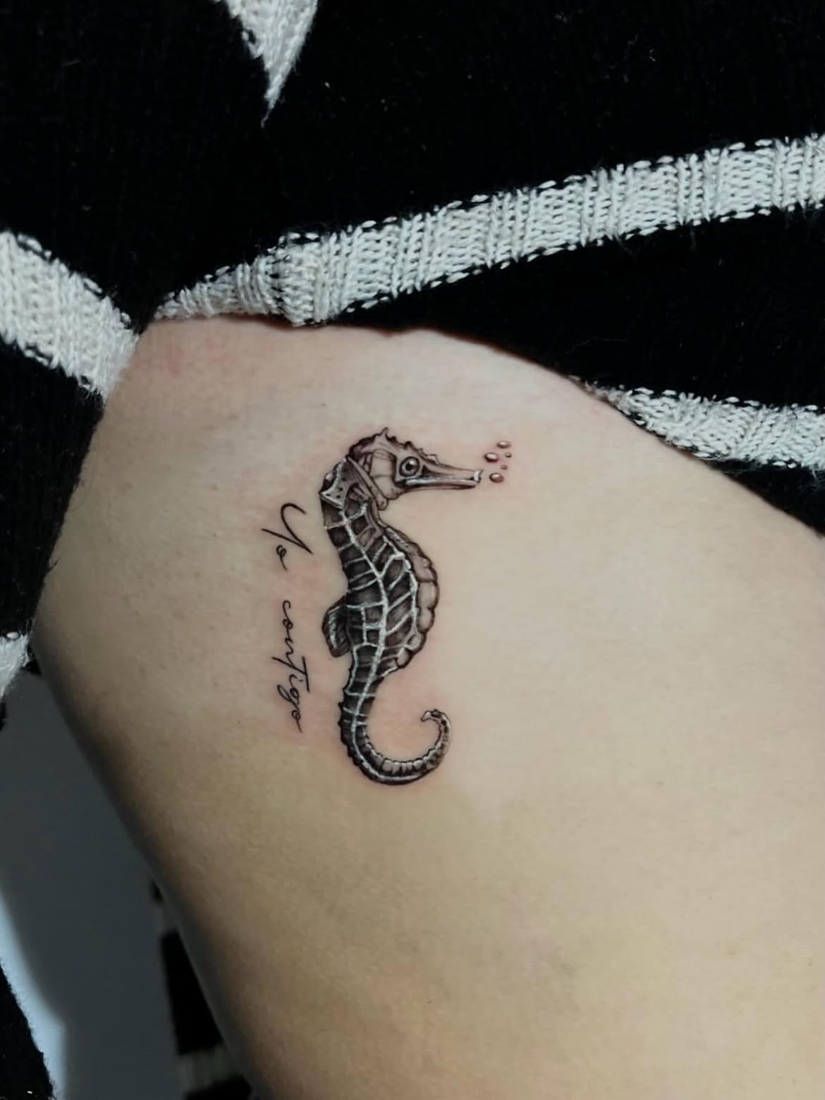 31 Seahorse Tattoo Ideas: Beautiful Designs That Capture the Magic of the Ocean