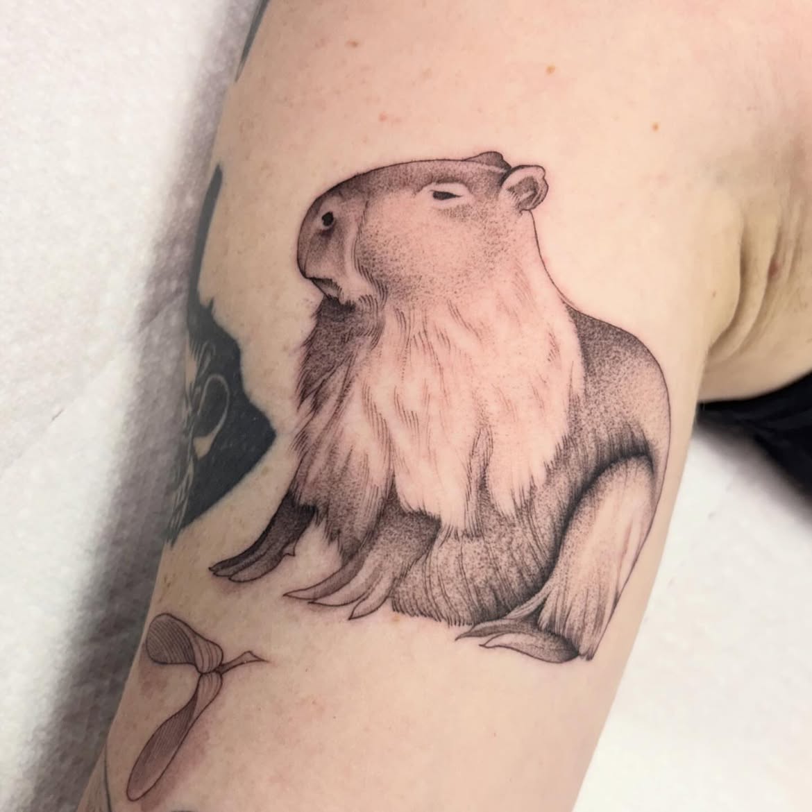 28 Cute Capybara Tattoo Ideas: Minimalist, Realistic, and Funny Designs