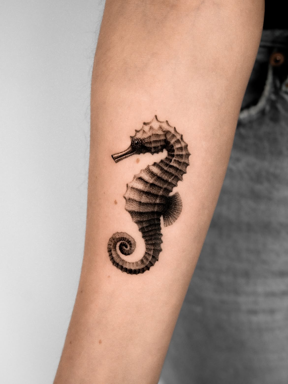 31 Seahorse Tattoo Ideas: Beautiful Designs That Capture the Magic of the Ocean