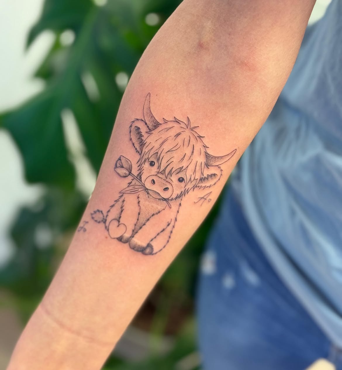 27 Highland Cow Tattoo Ideas: Charming Designs From Minimalist to Colorful