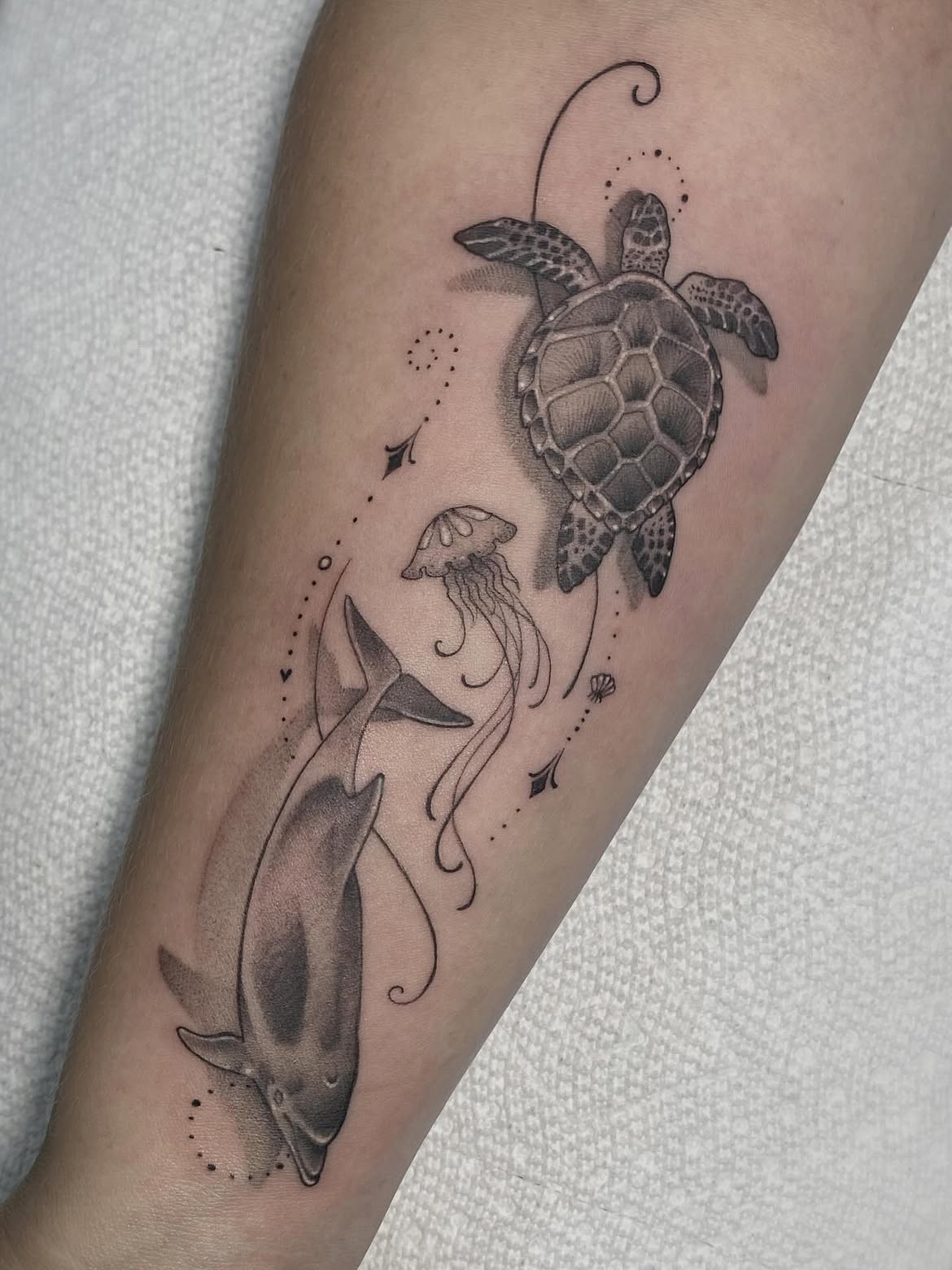 27 Dolphin Tattoo Ideas: Beautiful Designs That Capture Freedom, Joy, and Ocean Magic