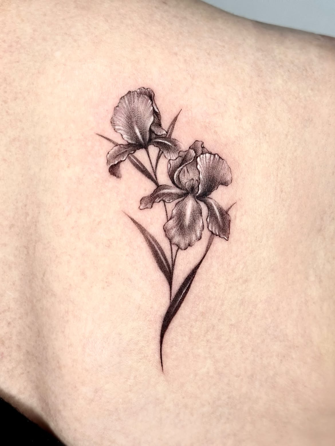 32 Iris Tattoo Ideas: Beautiful Floral Designs From Delicate Fine Line to Bold Color