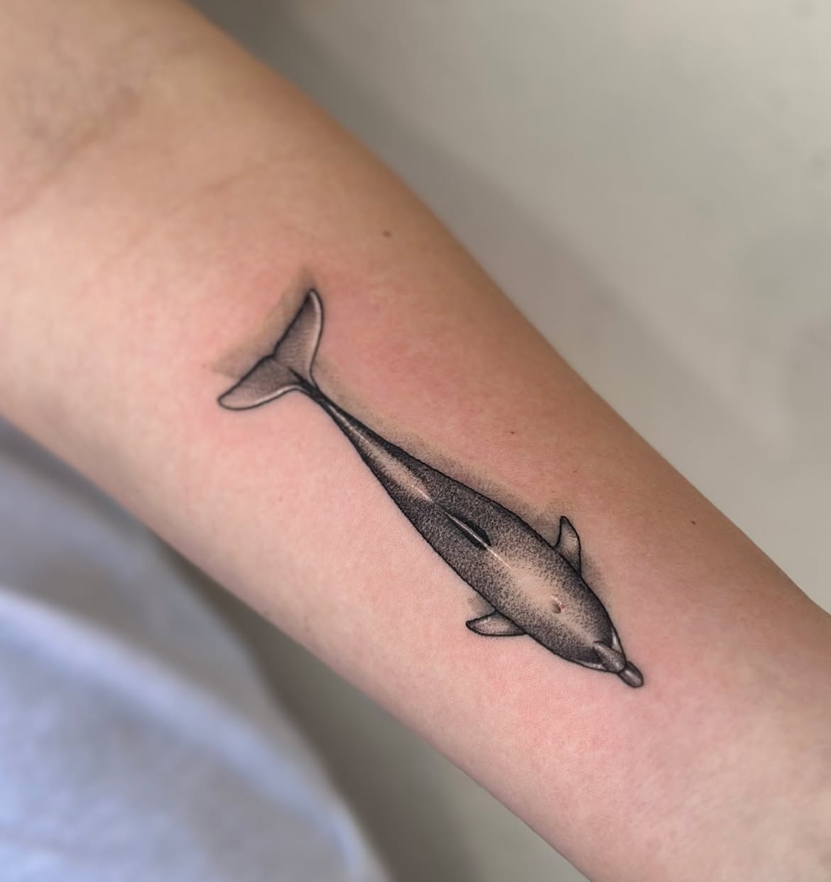 27 Dolphin Tattoo Ideas: Beautiful Designs That Capture Freedom, Joy, and Ocean Magic