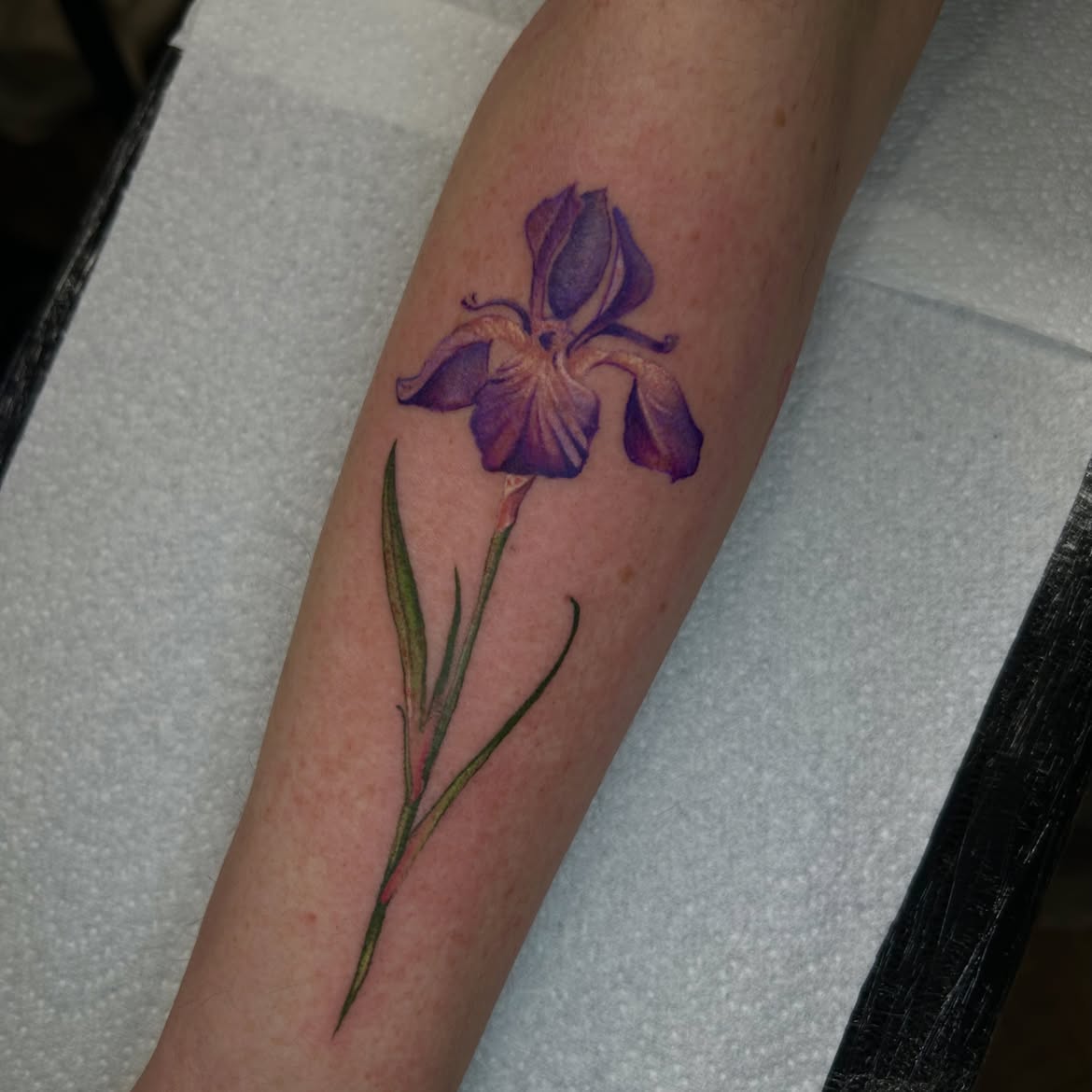 32 Iris Tattoo Ideas: Beautiful Floral Designs From Delicate Fine Line to Bold Color