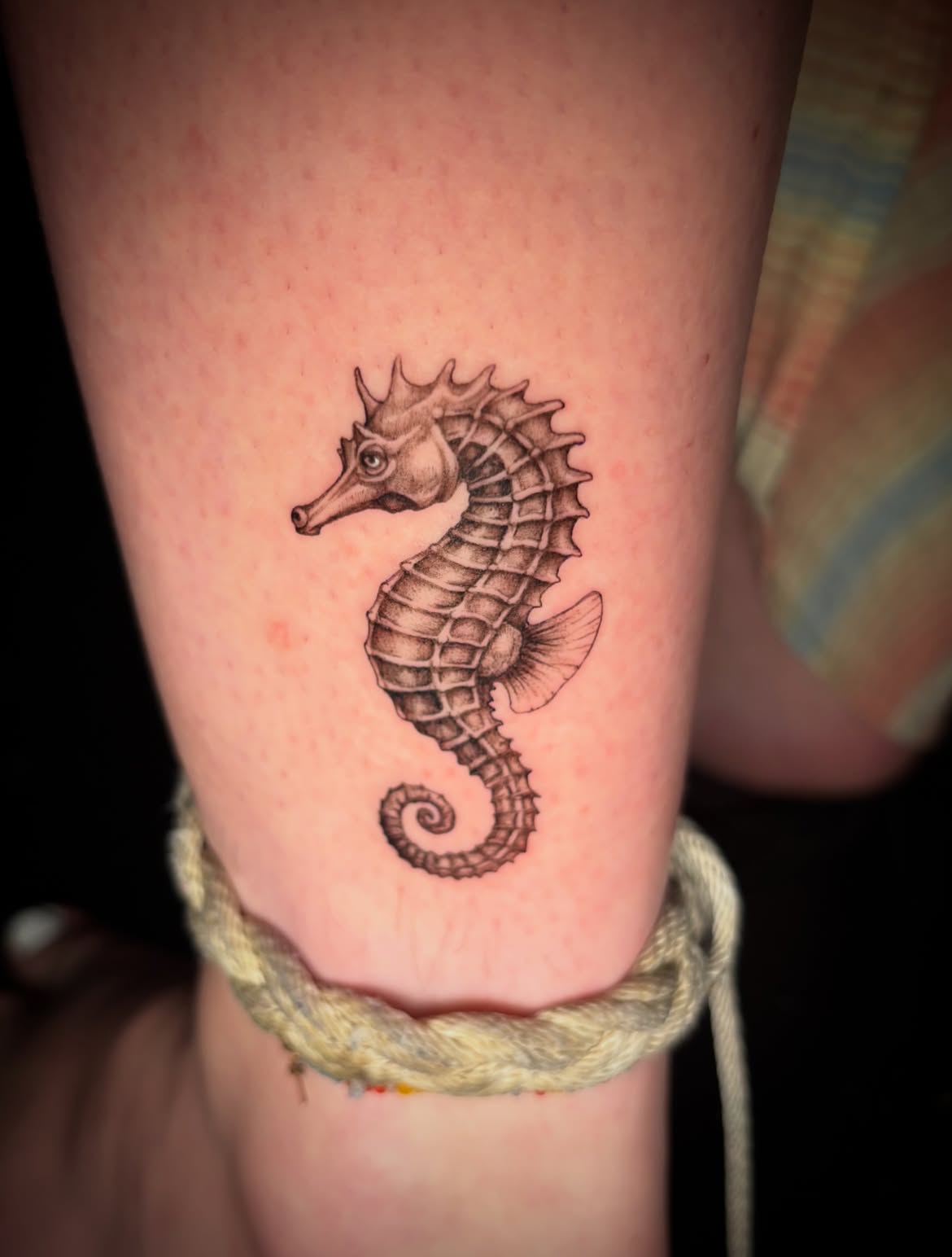 31 Seahorse Tattoo Ideas: Beautiful Designs That Capture the Magic of the Ocean