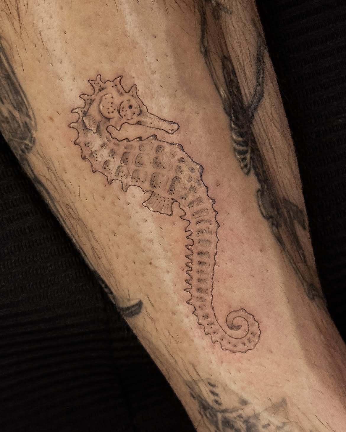 31 Seahorse Tattoo Ideas: Beautiful Designs That Capture the Magic of the Ocean