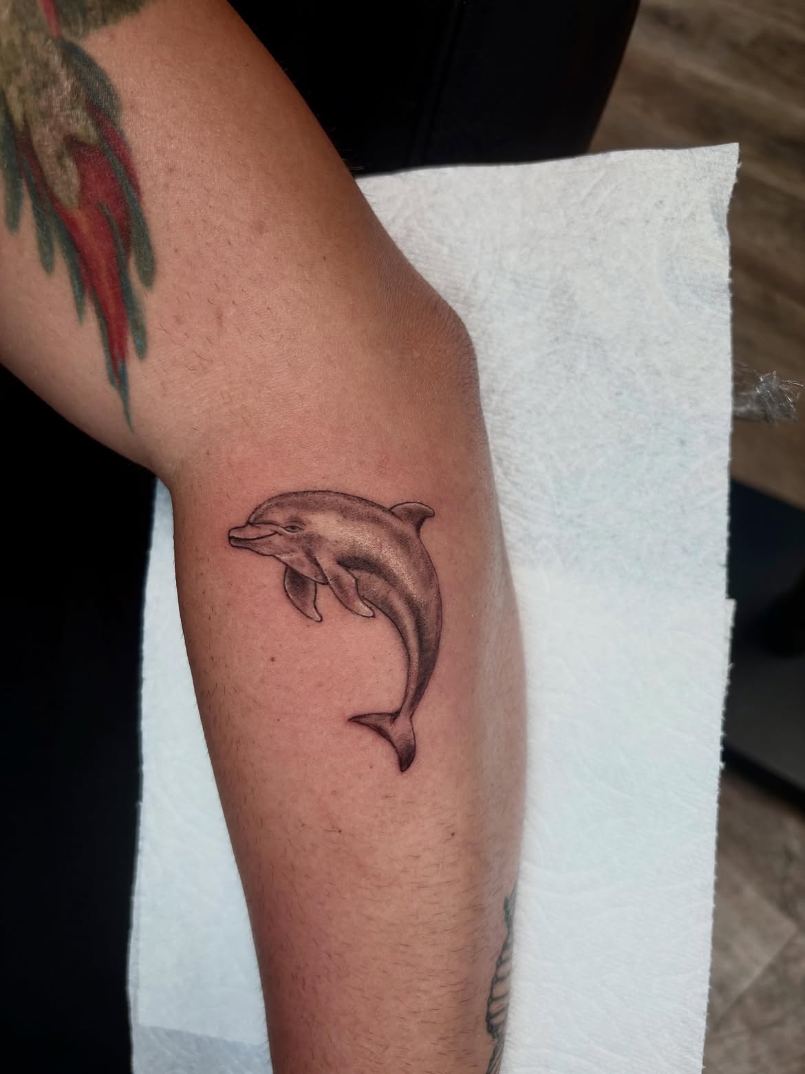 27 Dolphin Tattoo Ideas: Beautiful Designs That Capture Freedom, Joy, and Ocean Magic