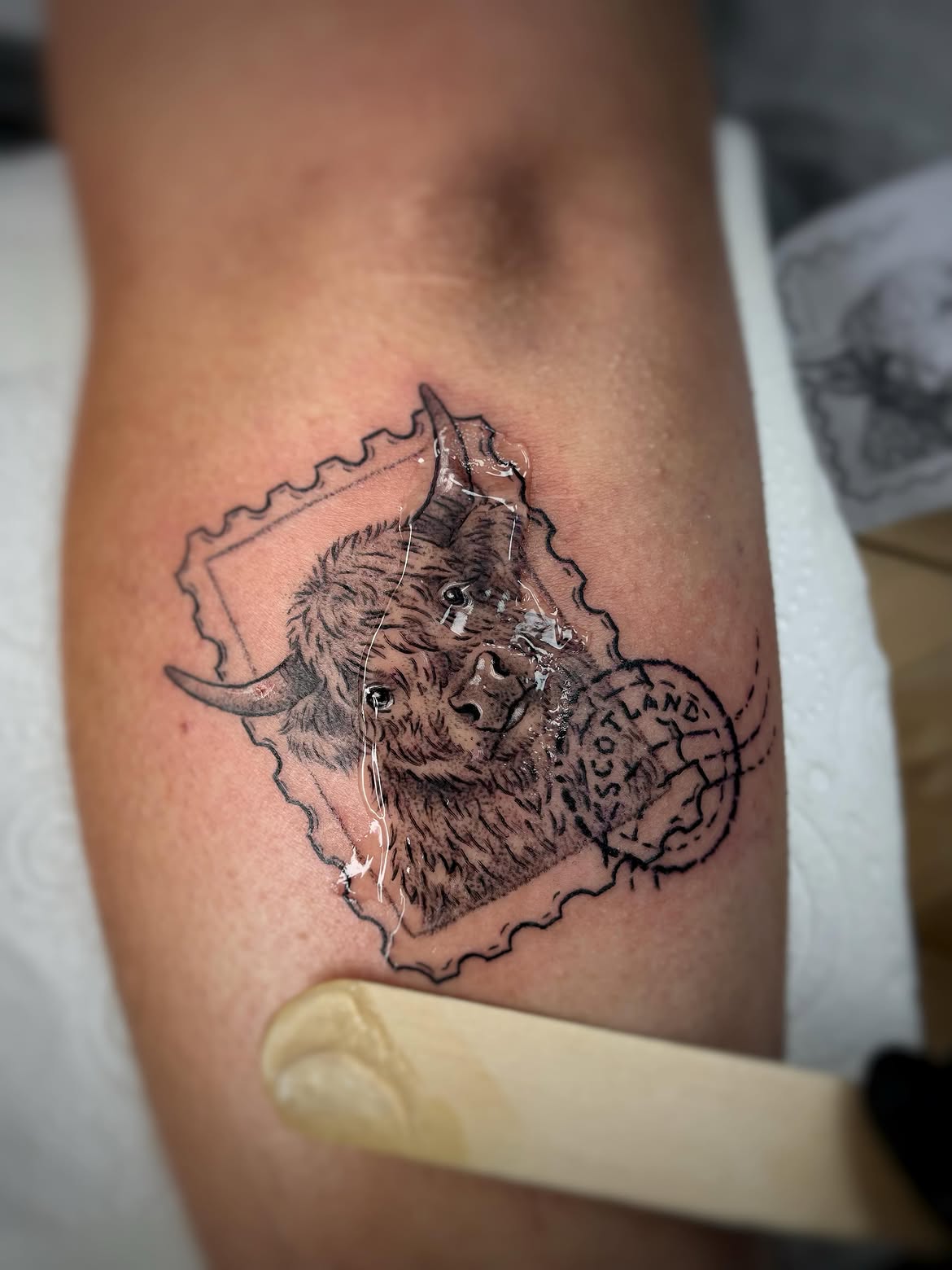 27 Highland Cow Tattoo Ideas: Charming Designs From Minimalist to Colorful