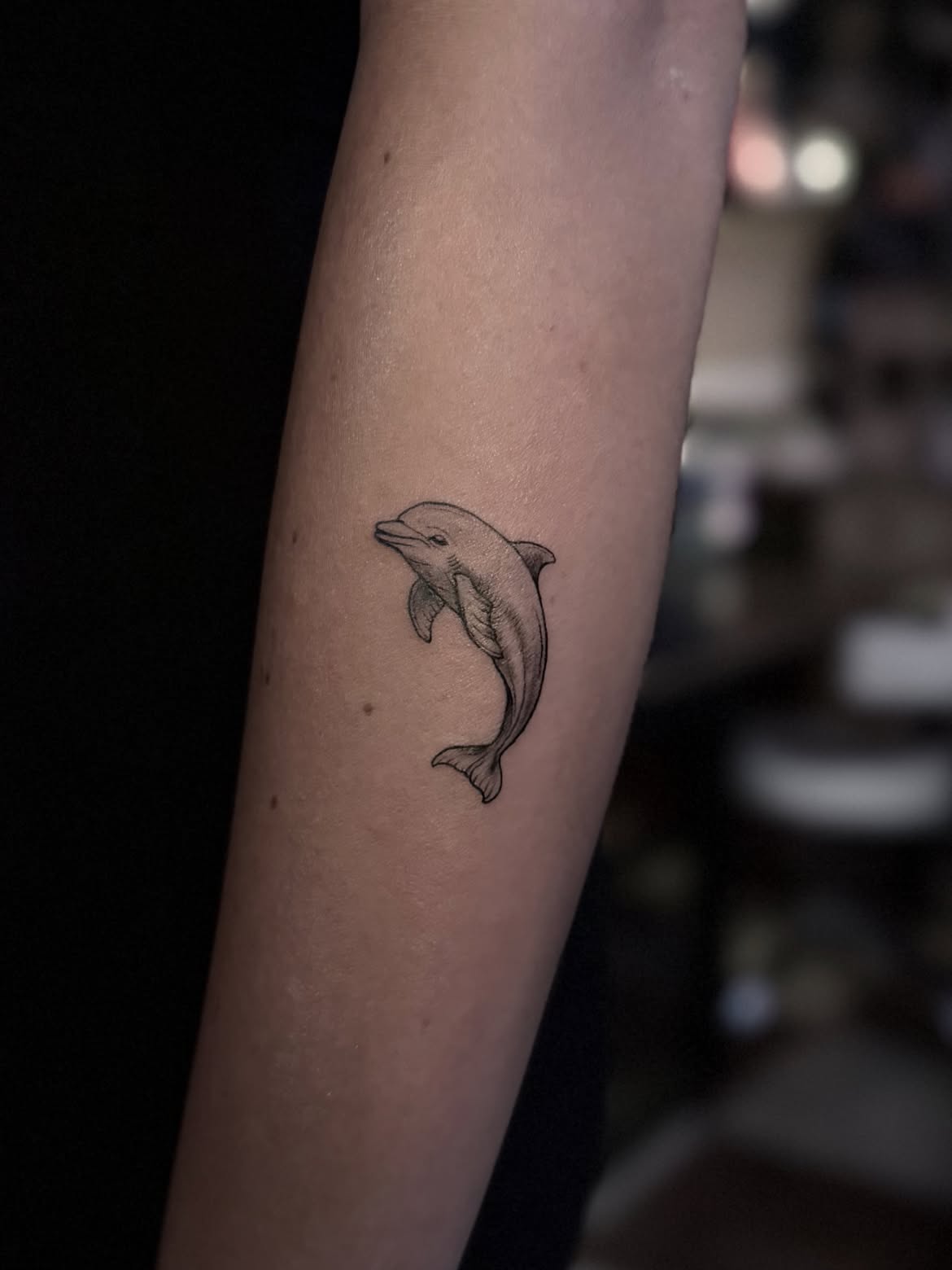 27 Dolphin Tattoo Ideas: Beautiful Designs That Capture Freedom, Joy, and Ocean Magic