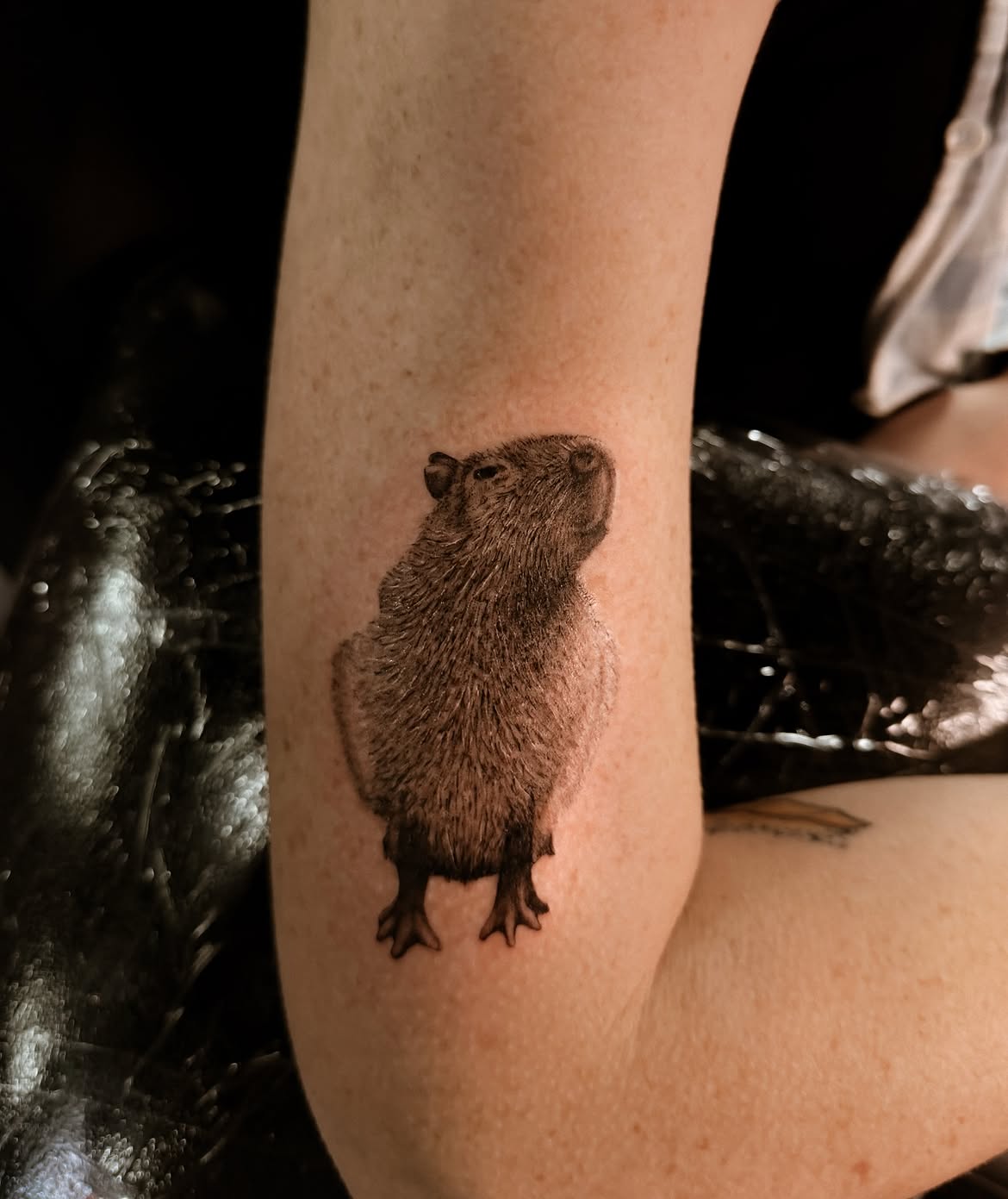 28 Cute Capybara Tattoo Ideas: Minimalist, Realistic, and Funny Designs
