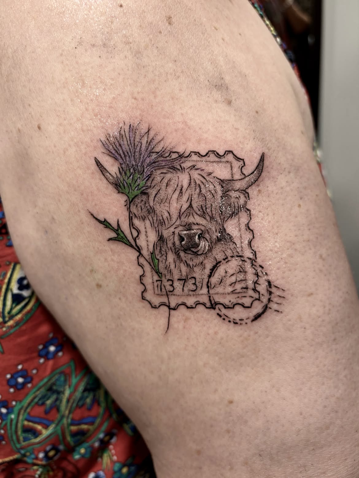 27 Highland Cow Tattoo Ideas: Charming Designs From Minimalist to Colorful