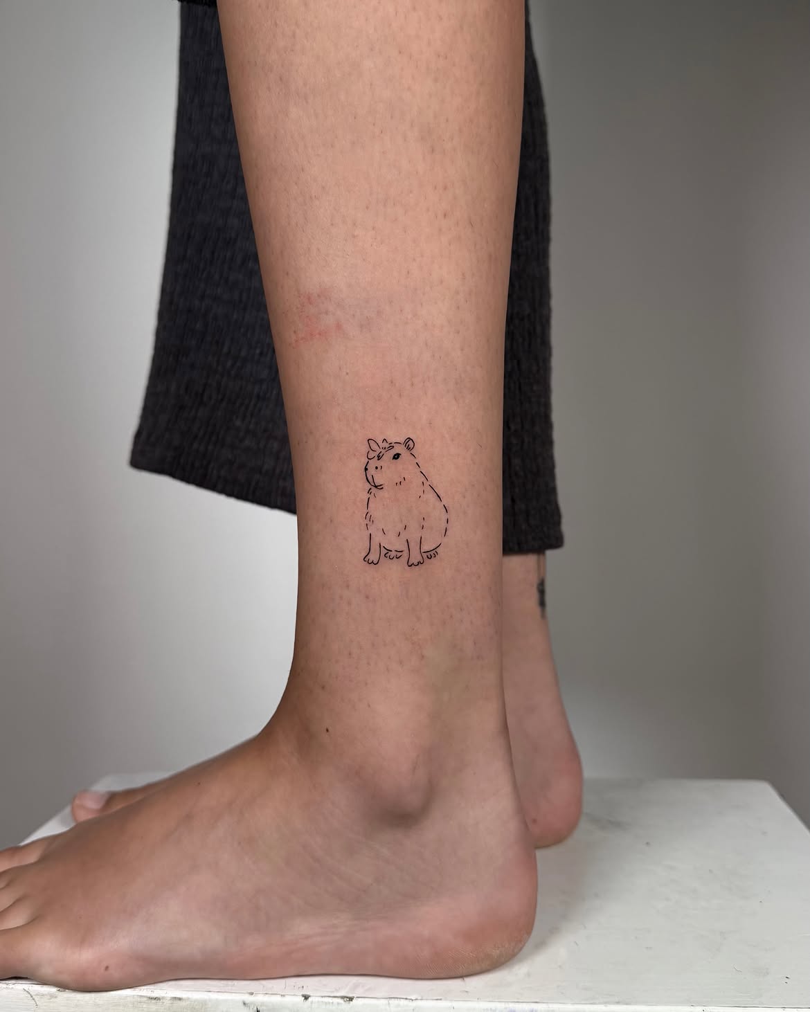 28 Cute Capybara Tattoo Ideas: Minimalist, Realistic, and Funny Designs