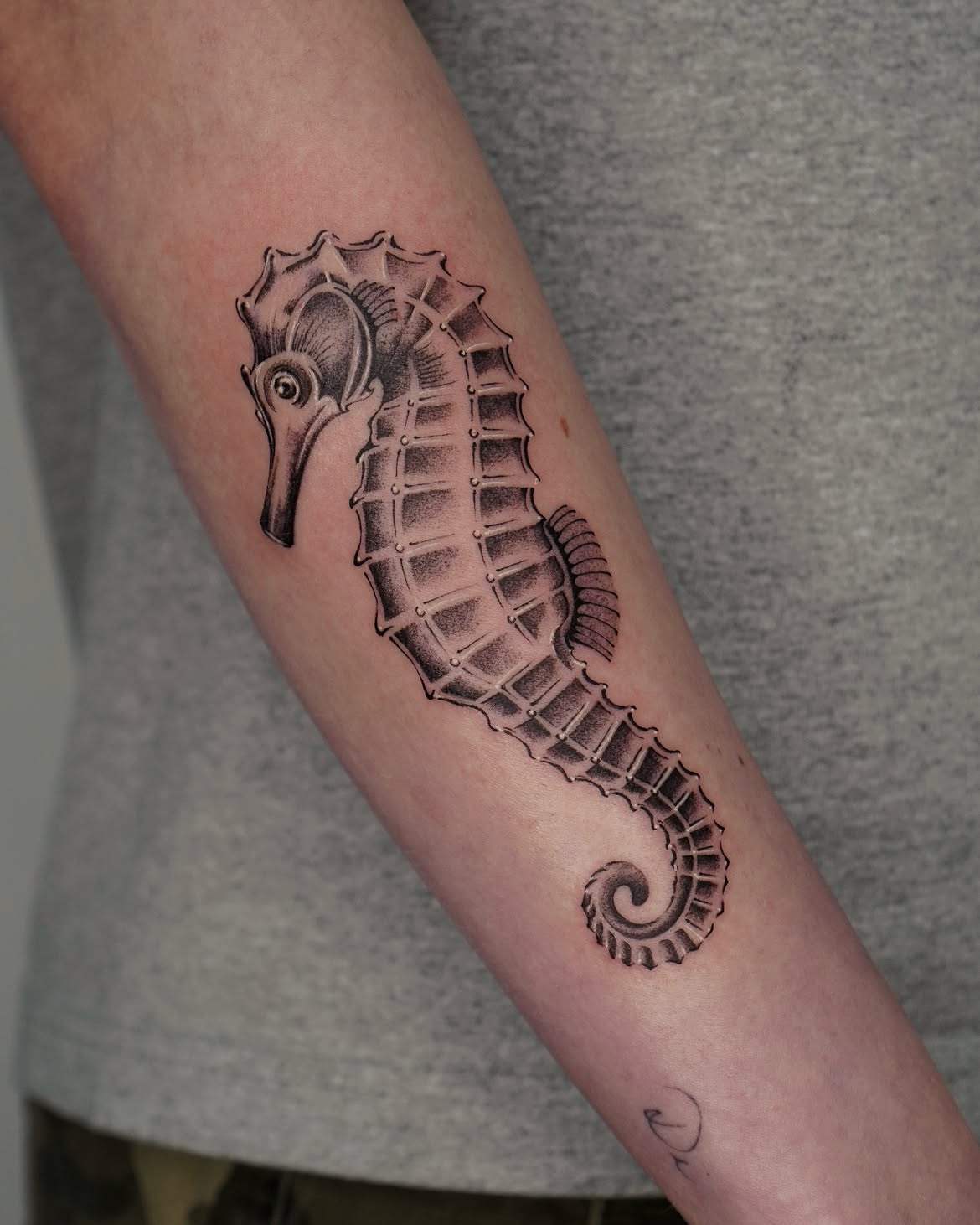 31 Seahorse Tattoo Ideas: Beautiful Designs That Capture the Magic of the Ocean