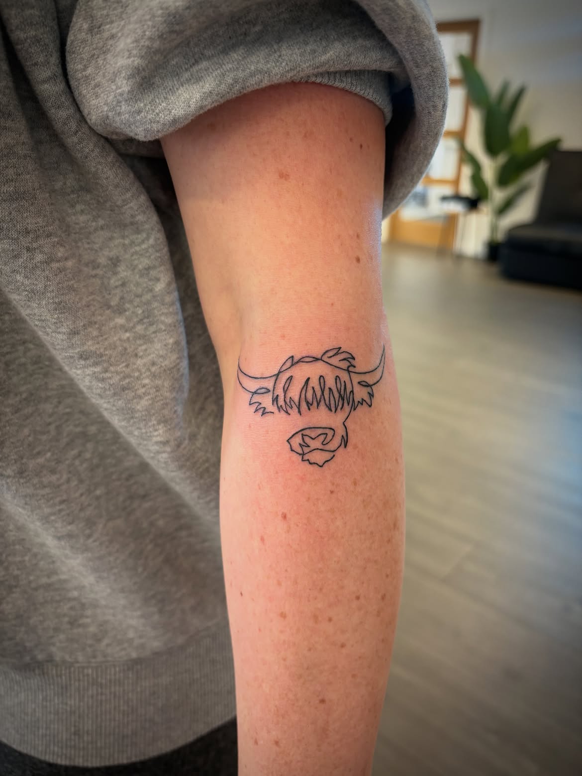 27 Highland Cow Tattoo Ideas: Charming Designs From Minimalist to Colorful