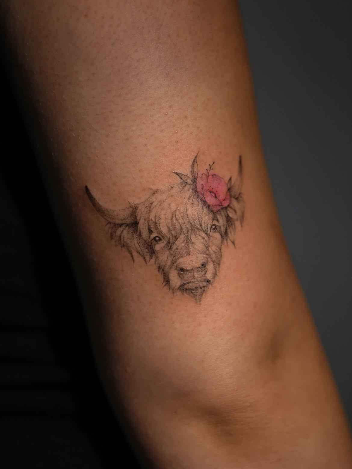 27 Highland Cow Tattoo Ideas: Charming Designs From Minimalist to Colorful