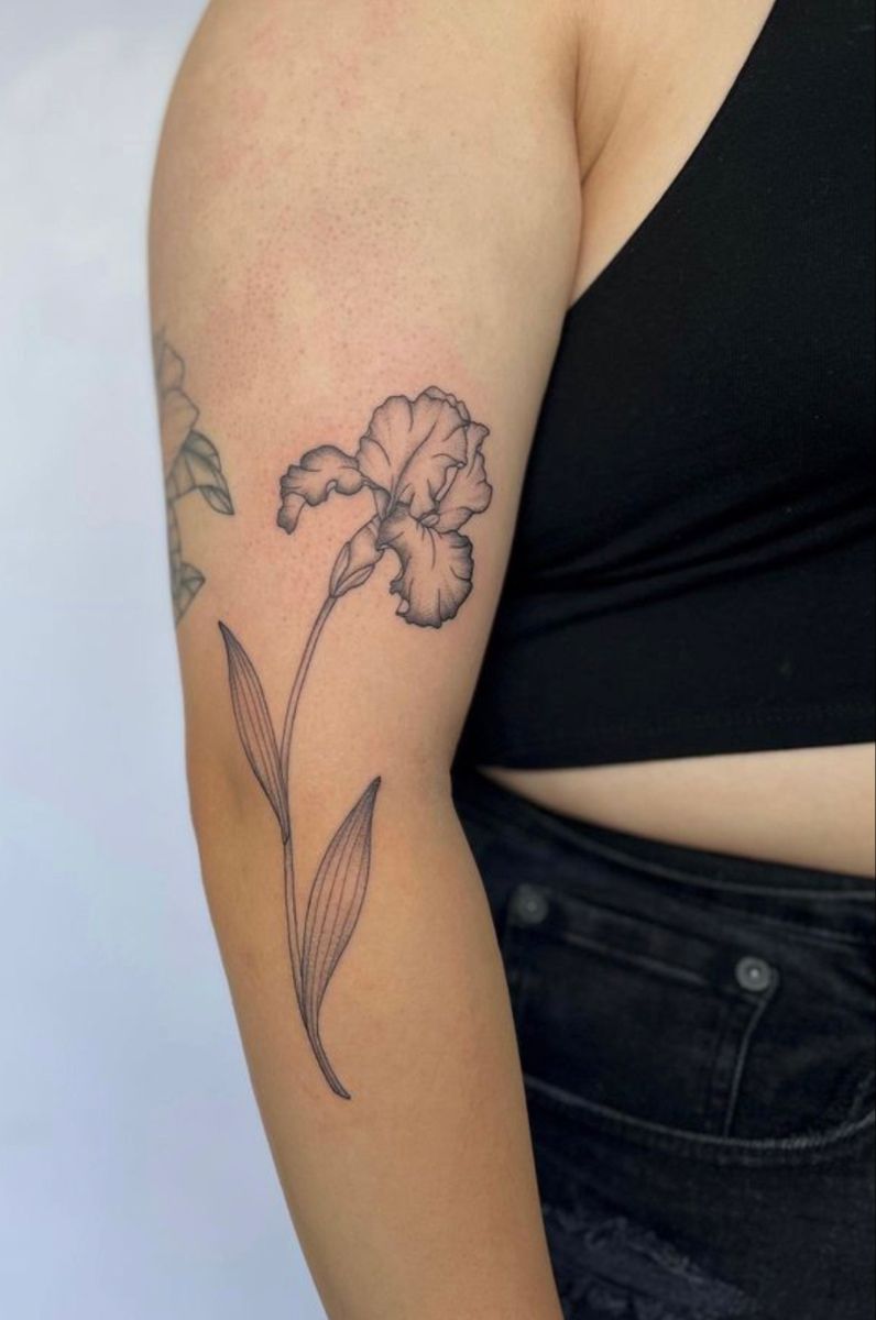 32 Iris Tattoo Ideas: Beautiful Floral Designs From Delicate Fine Line to Bold Color